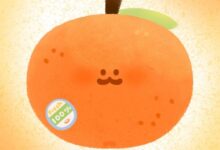 06月24日 | 2025年每日更新SSR/V2ray/Clash订阅链接-看机场