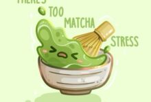 06月18日 | 2025年每日更新SSR/V2ray/Clash订阅链接-看机场