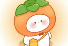 06月23日 | 2025年每日更新SSR/V2ray/Clash订阅链接-看机场