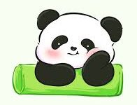 06月21日 | 2025年每日更新SSR/V2ray/Clash订阅链接-看机场